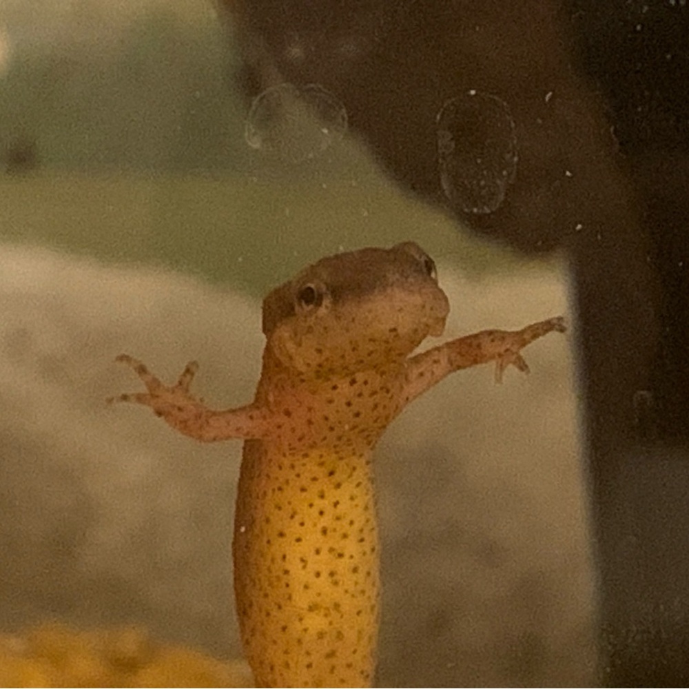 Meet your Posher, Alex